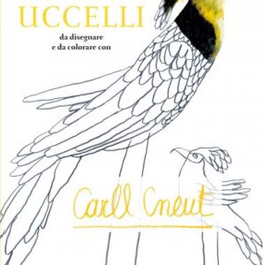 Uccelli-da-disegnare.jpg